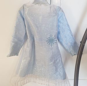 Elsa dress with lights